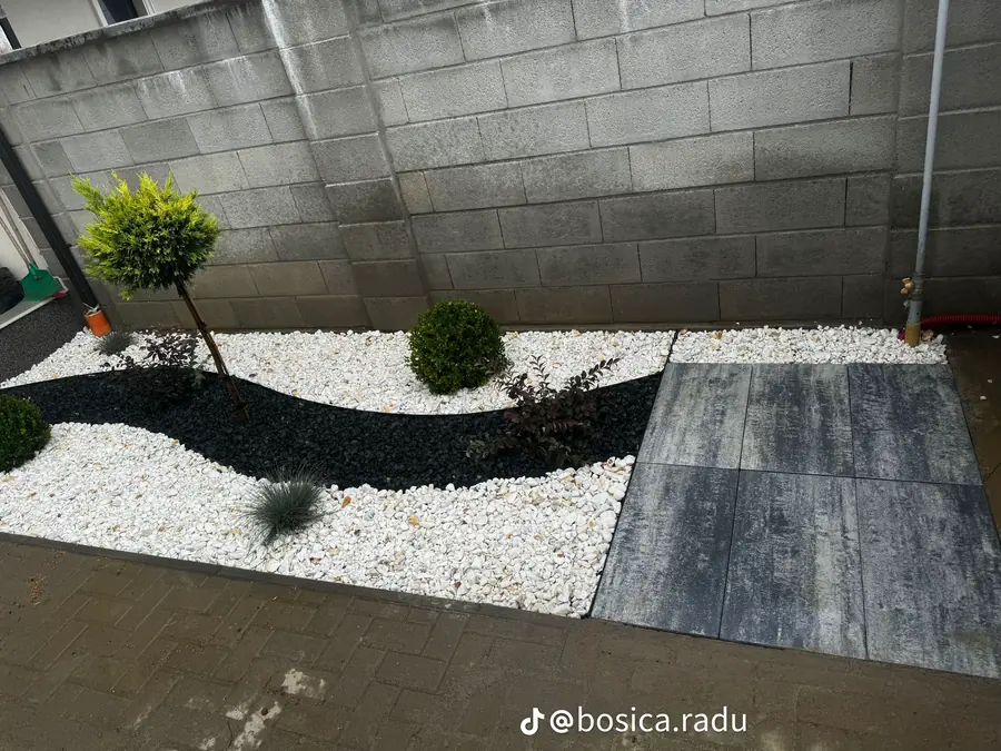 Pat decorativ cu piatră albă și piatră neagră, tuia modelată și arbuști, lângă o terasă.